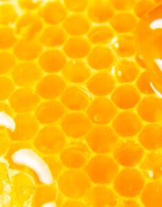 Beeswax Extract