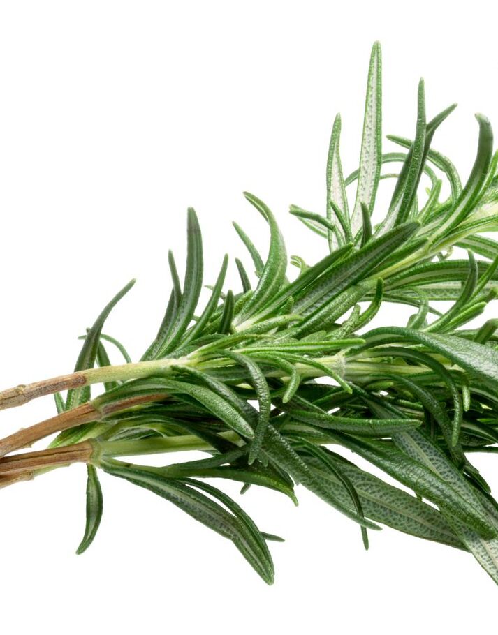 Rosemary