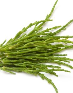 Samphire Extract