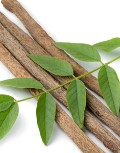 Licorice Root Extract